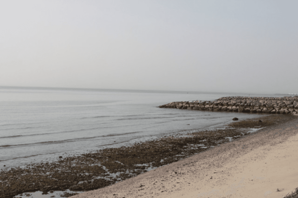 Polluted Ras Al Khaimah’s Ghaleila coastline